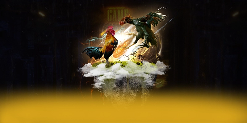 CONGA6789 - Kết bài một cách chi tiết.