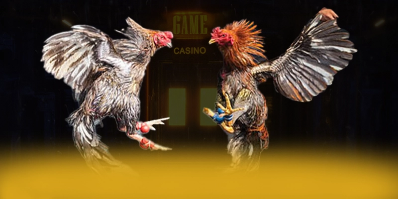 CONGA6789 - Ứng dụng giải trí đang làm mưa làm gió trong cộng đồng game thủ – Khám phá sản phẩm hấp dẫn của CONGA6789