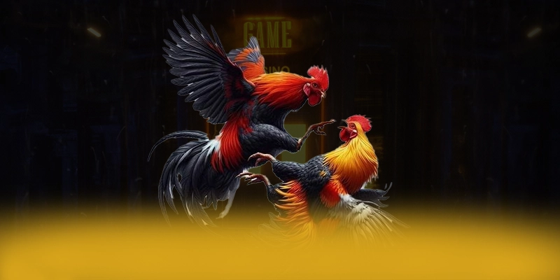 DAGA88 - Cổng cá cược với chính sách bảo mật hàng đầu 2025 – Trải nghiệm DAGA88