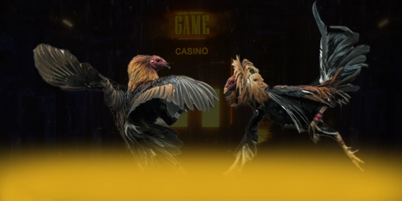 Kèo Worldcup - Cổng thể thao sở hữu hệ thống live betting hồi hộp nhất